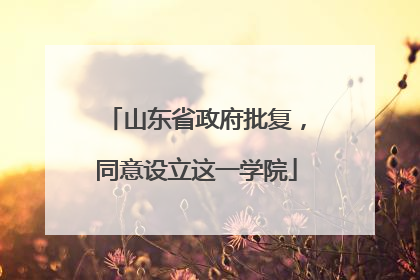 山东省政府批复，同意设立这一学院