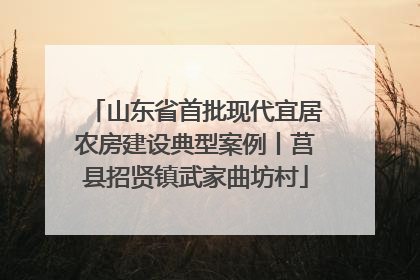 山东省首批现代宜居农房建设典型案例丨莒县招贤镇武家曲坊村
