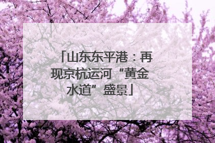 山东东平港：再现京杭运河“黄金水道”盛景