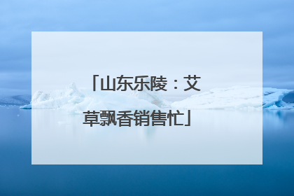 山东乐陵：艾草飘香销售忙