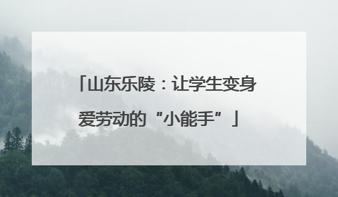 山东乐陵：让学生变身爱劳动的“小能手”