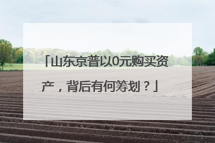 山东京普以0元购买资产，背后有何筹划？
