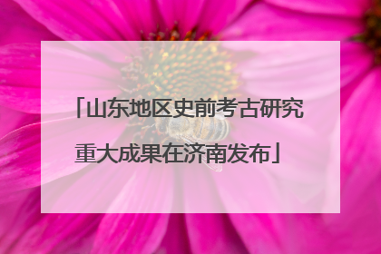 山东地区史前考古研究重大成果在济南发布