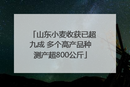 山东小麦收获已超九成 多个高产品种测产超800公斤