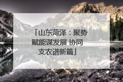 山东菏泽：聚势赋能谋发展 协同支农谱新篇