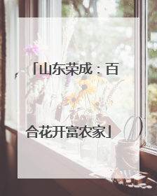 山东荣成：百合花开富农家