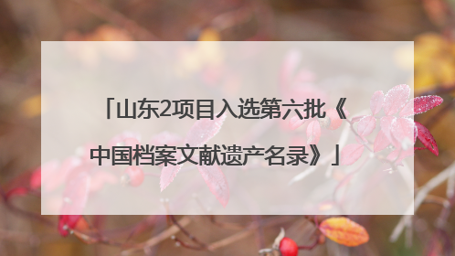 山东2项目入选第六批《中国档案文献遗产名录》