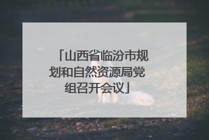 山西省临汾市规划和自然资源局党组召开会议