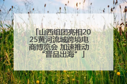 山西组团亮相2025黄河流域跨境电商博览会 加速推动“晋品出海”