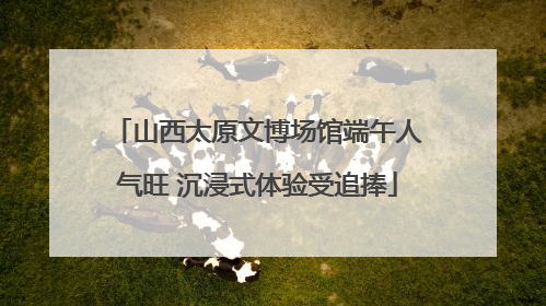 山西太原文博场馆端午人气旺 沉浸式体验受追捧