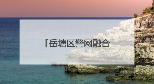 岳塘区警网融合 打通基层治理“最后一公里”