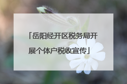 岳阳经开区税务局开展个体户税收宣传
