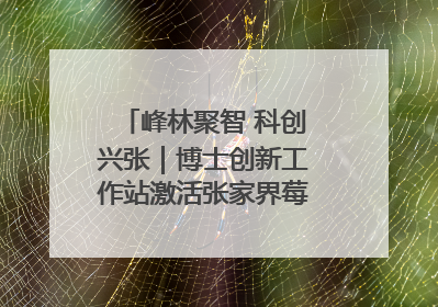 峰林聚智 科创兴张｜博士创新工作站激活张家界莓茶产业新动能