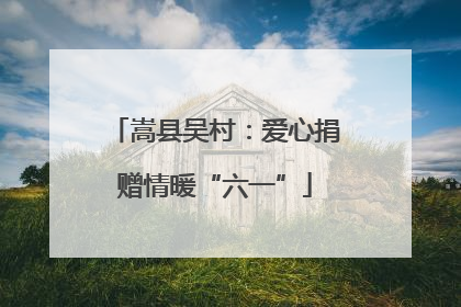 嵩县吴村：爱心捐赠情暖“六一”