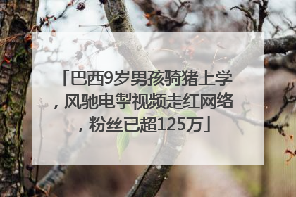 巴西9岁男孩骑猪上学，风驰电掣视频走红网络，粉丝已超125万