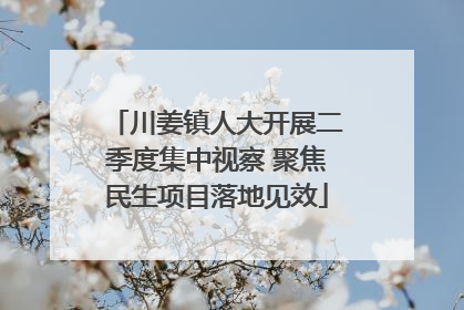 川姜镇人大开展二季度集中视察 聚焦民生项目落地见效