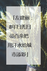 左建丽：8年扫秃扫帚百余把 用汗水给城市添彩