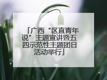 广西“区直青年说”主题宣讲暨五四示范性主题团日活动举行