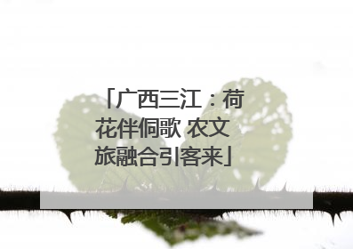 广西三江：荷花伴侗歌 农文旅融合引客来
