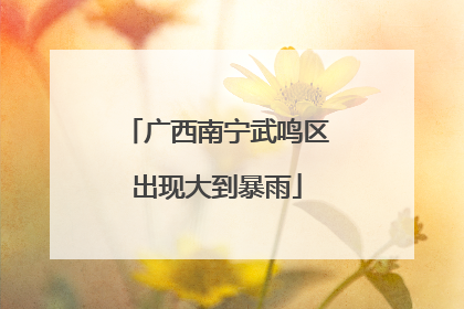 广西南宁武鸣区出现大到暴雨