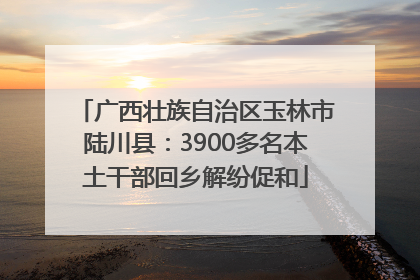 广西壮族自治区玉林市陆川县：3900多名本土干部回乡解纷促和
