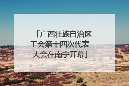 广西壮族自治区工会第十四次代表大会在南宁开幕