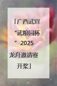广西武宣“武粮园杯”2025龙舟邀请赛开桨