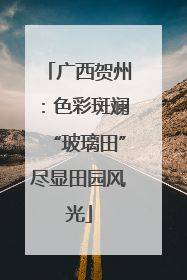 广西贺州：色彩斑斓“玻璃田”尽显田园风光