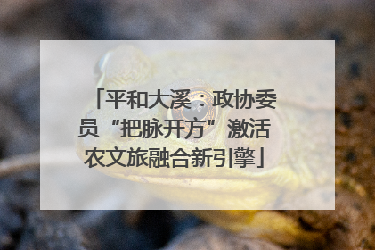 平和大溪：政协委员“把脉开方”激活农文旅融合新引擎