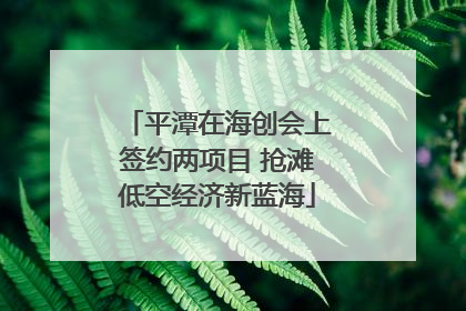 平潭在海创会上签约两项目 抢滩低空经济新蓝海