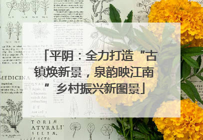 平阴：全力打造“古镇焕新景，泉韵映江南”乡村振兴新图景