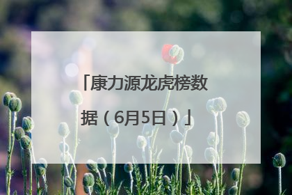 康力源龙虎榜数据（6月5日）