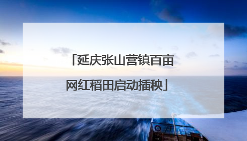 延庆张山营镇百亩网红稻田启动插秧