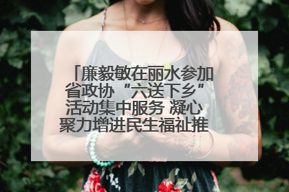 廉毅敏在丽水参加省政协“六送下乡”活动集中服务 凝心聚力增进民生福祉推进共同富裕