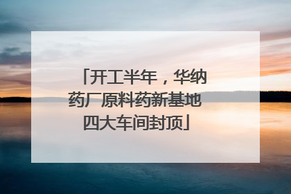 开工半年，华纳药厂原料药新基地四大车间封顶