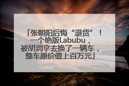 张朝阳后悔“退货”！一个绝版Labubu，被胡润拿去换了一辆车，整车原价值上百万元
