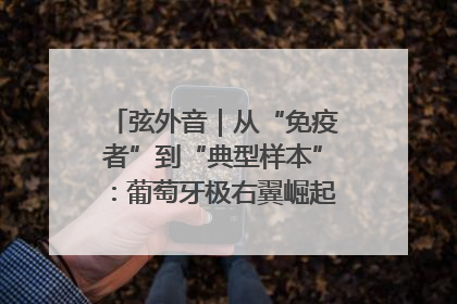 弦外音｜从“免疫者”到“典型样本”：葡萄牙极右翼崛起背后的欧洲困局