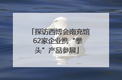 探访西博会南充馆 62家企业携“拳头”产品参展