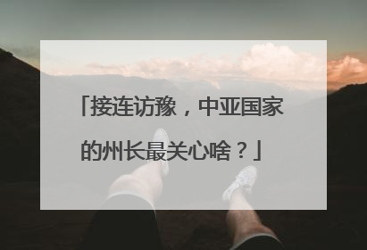 接连访豫，中亚国家的州长最关心啥？
