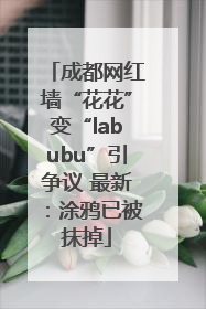 成都网红墙“花花”变“labubu”引争议 最新：涂鸦已被抹掉