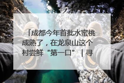 成都今年首批水蜜桃成熟了，在龙泉山这个村尝鲜“第一口”｜寻找和美乡村推荐官