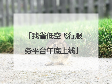 我省低空飞行服务平台年底上线