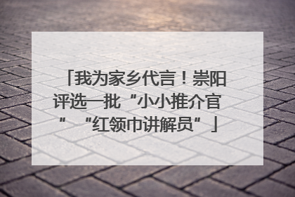 我为家乡代言！崇阳评选一批“小小推介官”“红领巾讲解员”