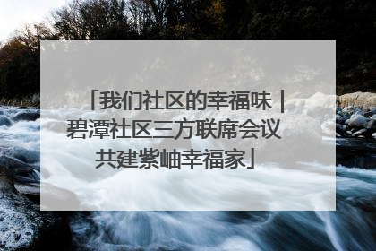 我们社区的幸福味｜碧潭社区三方联席会议共建紫岫幸福家
