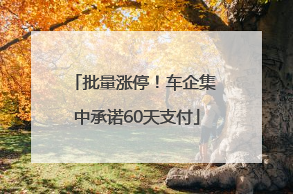 批量涨停！车企集中承诺60天支付