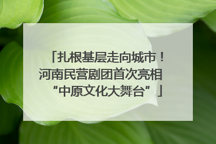 扎根基层走向城市！河南民营剧团首次亮相“中原文化大舞台”
