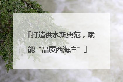 打造供水新典范，赋能“品质西海岸”