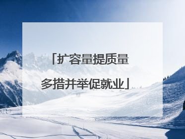 扩容量提质量 多措并举促就业