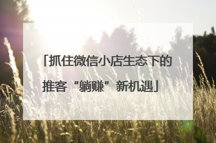 抓住微信小店生态下的推客“躺赚”新机遇