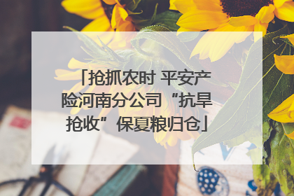 抢抓农时 平安产险河南分公司“抗旱抢收”保夏粮归仓